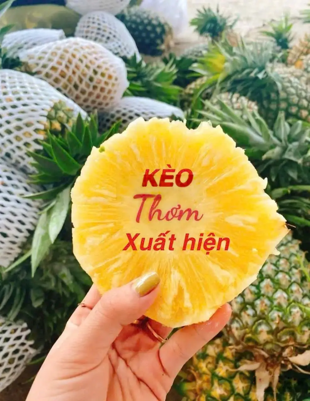 Bán Nhà Riêng Đường 61, Phường Phước Long B, Quận 9, Hồ Chí Minh, giá cực chất chỉ với 34 tỷ, 340m2