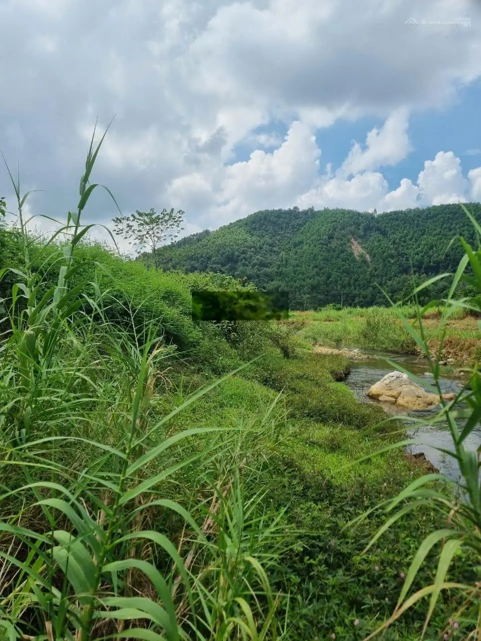 Bán đất view cánh đồng bám suối 3500m2, giá 2,x tỷ