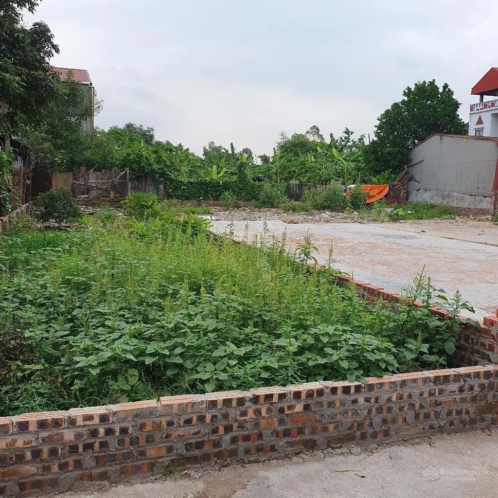 Bán 98m2 đất - Lỗ Giao - Việt Hùng - Đông Anh - ngõ ô tô thông, ô tô vào đất, kinh doanh, đầu tư