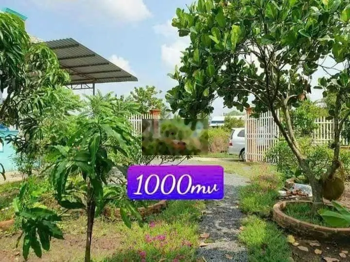 Kẹt tiền bán mảnh vườn1000m2 (20x50m) sát KCN, dân đông Bình Dương