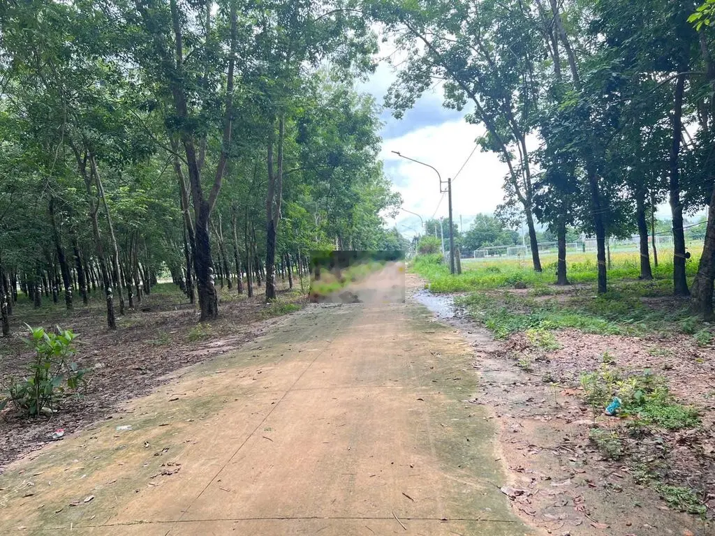 Bán 3 mẫu Mt phan bội châu chỉ có 20 tỷ