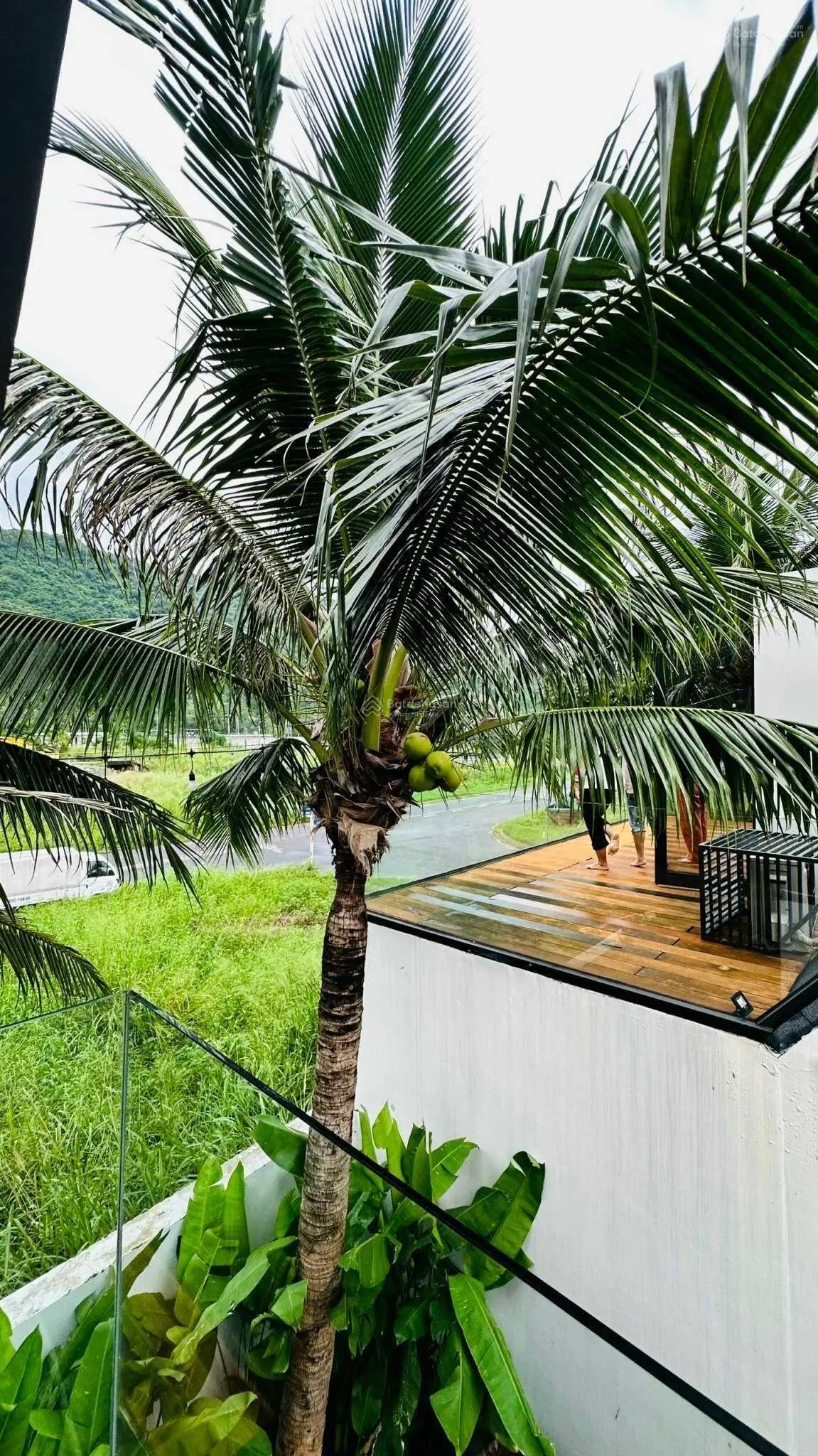 Ngôi nhà nổi tiếng: có suối chảy cạnh nhà, gần biển, dưới chân báo đảo Sơn Trà nhưngchỉ nửa triệu $
