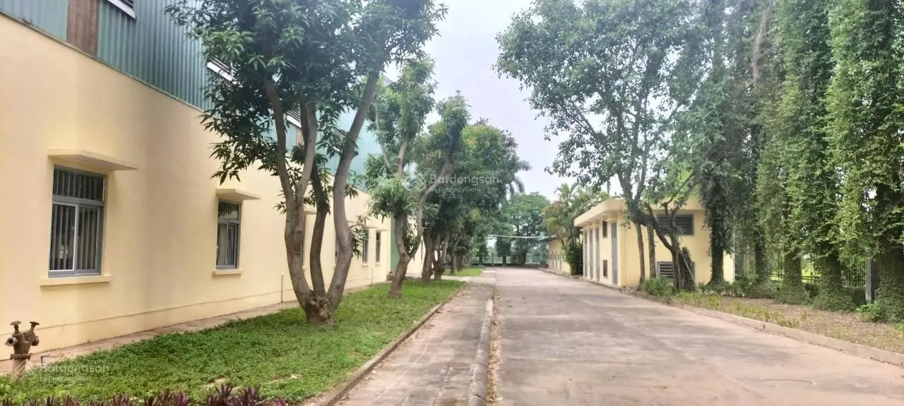 Bán nhà máy 28.000 m2, có sẵn xưởng cho thuê 450 triệu môt tháng, tại trung tâm Phú Xuyên, Hà Nội