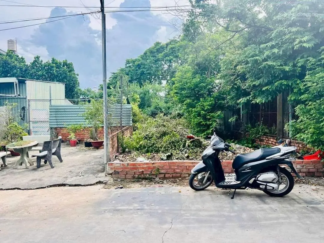 Bán đất sổ riêng gần trung tâm ngã 4 Nguyễn Khuyến - Đại Học Công Nghệ P. Trảng Dài