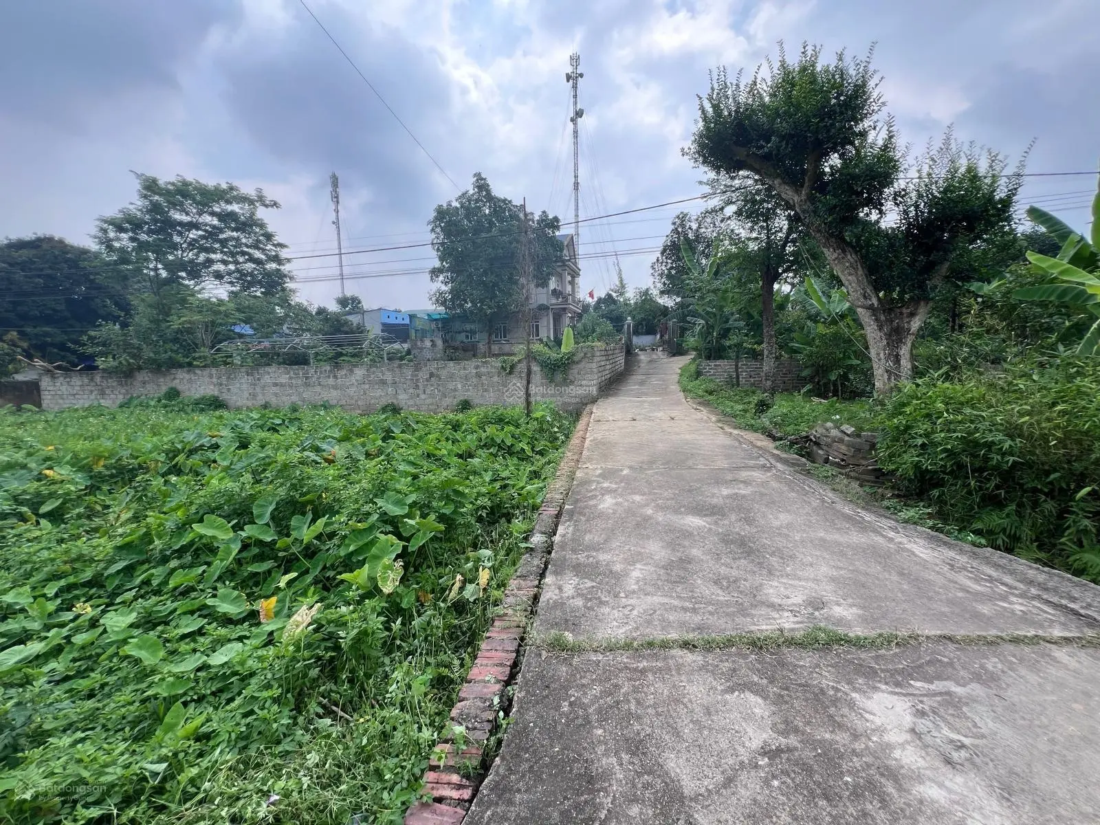 Bán đất full thổ cư 126m2 tại Tân Thành, Thái Nguyên