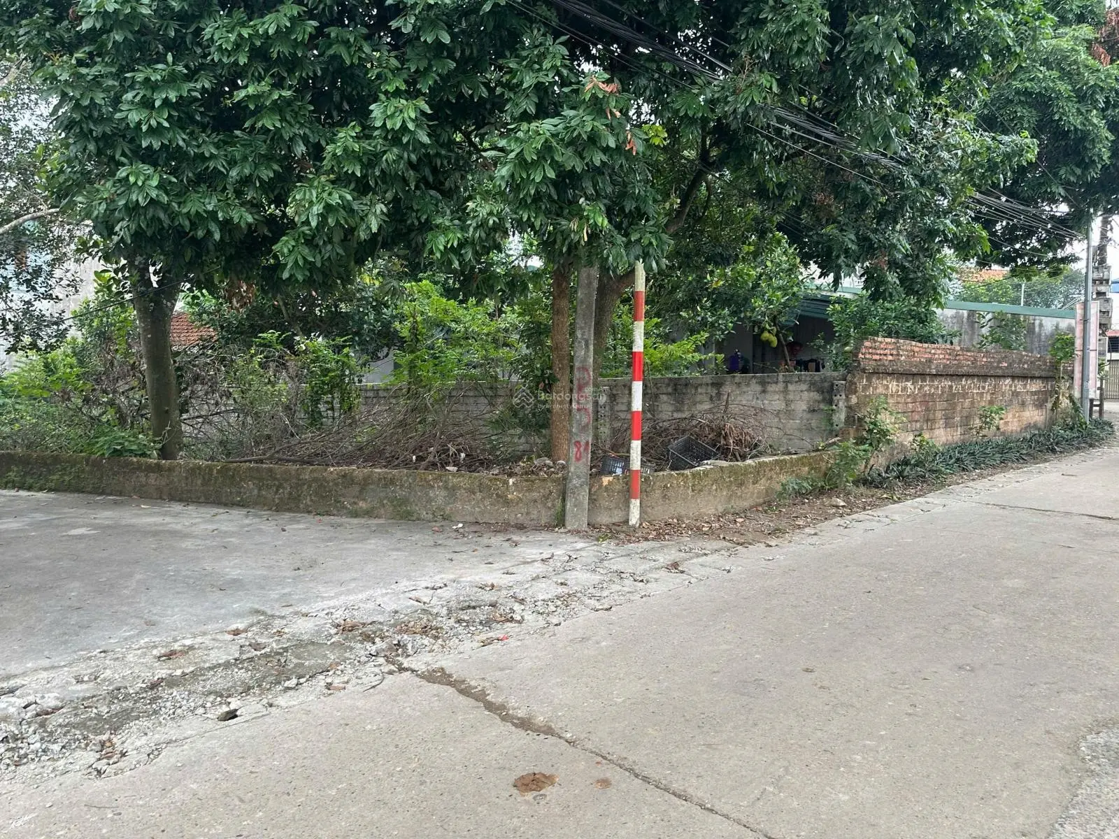 TÀI CHÍNH NHỈNH TỶ, SỞ HỮU LÔ GÓC ĐƯỜNG OTO TRÁNH, ở hoặc đầu tư đều tốt, giá bán nhanh