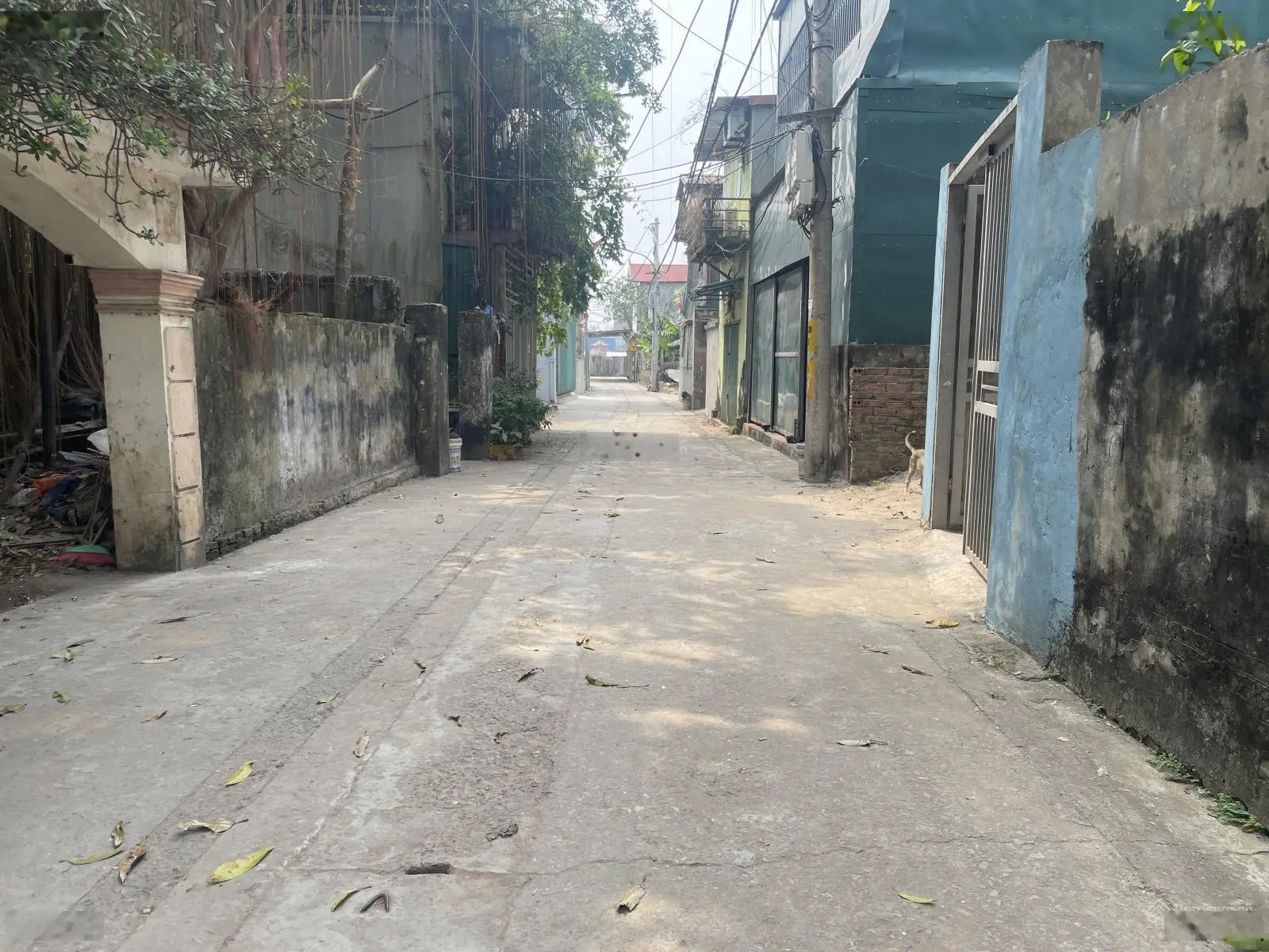 chính chủ cần bấn gấp lô góc 52,6m quyết tiến vân côn hoài đức hà nội
