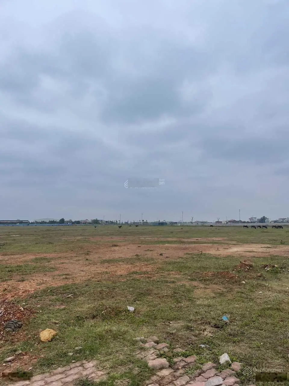 Chuyển nhượng dự án tại Hải Phòng - Khu CN TP Hải Phòng- Hải Phòng