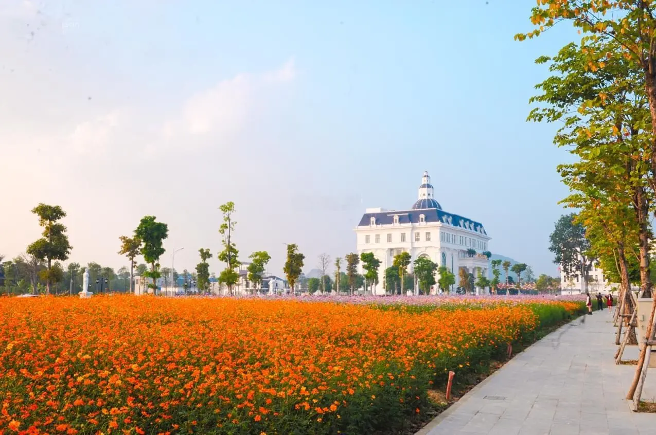 Mua đất ngay - tặng xe đẹp lựa chọn hàng đầu cho những ai muốn mua để ở và đầu tư