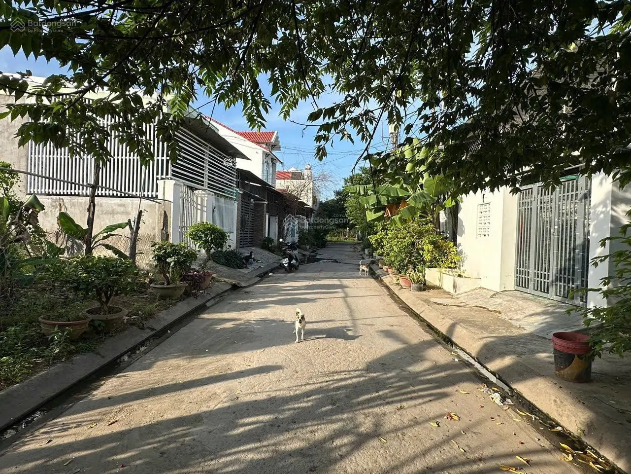 Bán đất tái định cư thị trấn Diên Khánh, 67m2 có thổ cư, giá 900 tr