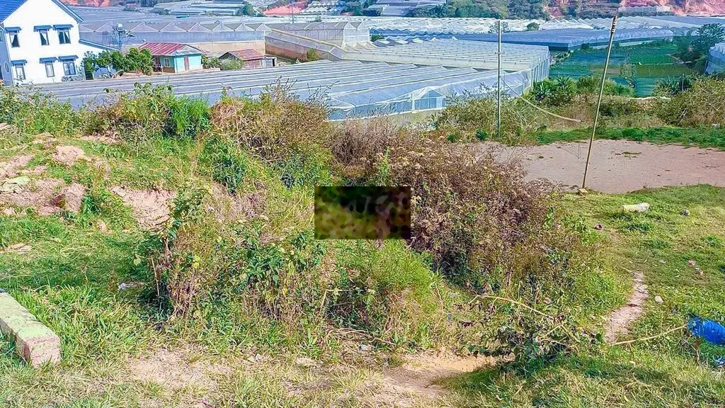 Bán nhanh lô đất đầu tư Lạc Dương, sát Đà Lạt sinh lời cao.