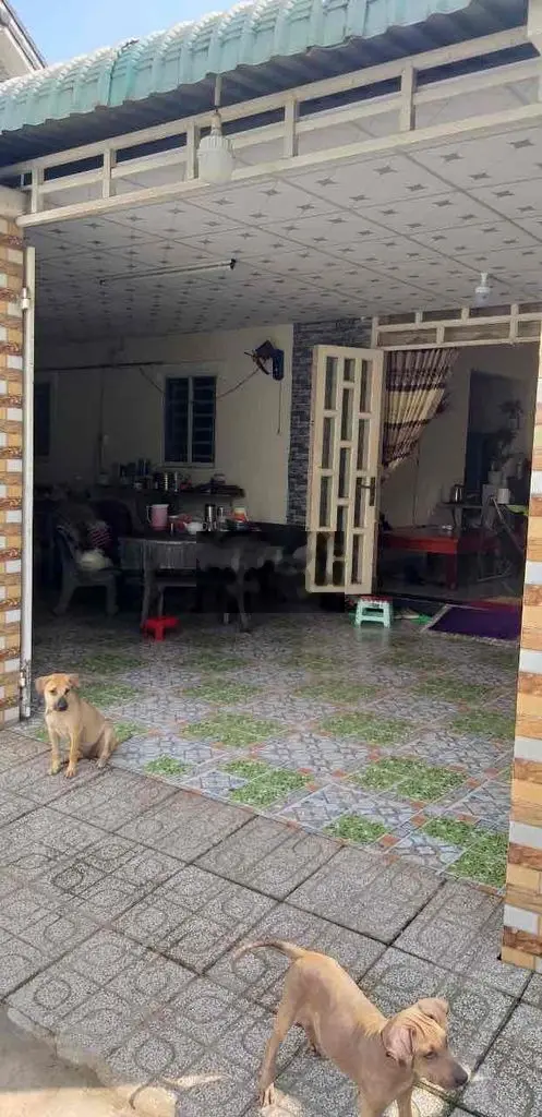Bán nhà An Thạnh, 1 sẹc nhựa Thạnh Quý 70m, đường bê tông 6m, sân ô to