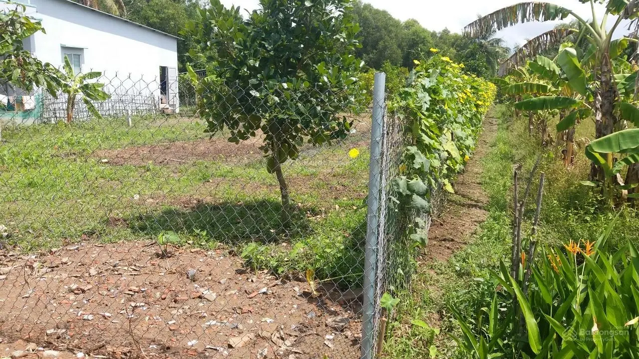 Tôi Chính Chủ Cần Bán Gấp 2 Lô Đất 1000m2/1,39 Tỷ đg Xe Hơi ở Thạnh Đức và 1022m2/690Tr ở Bình Đức