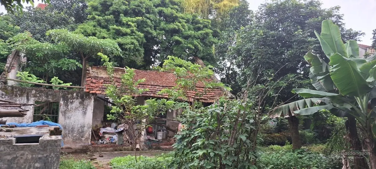Bán đất thổ cư 525 m2 (full - 100%) tại thôn Nguyên Bì (Quất Động, Thường Tín)