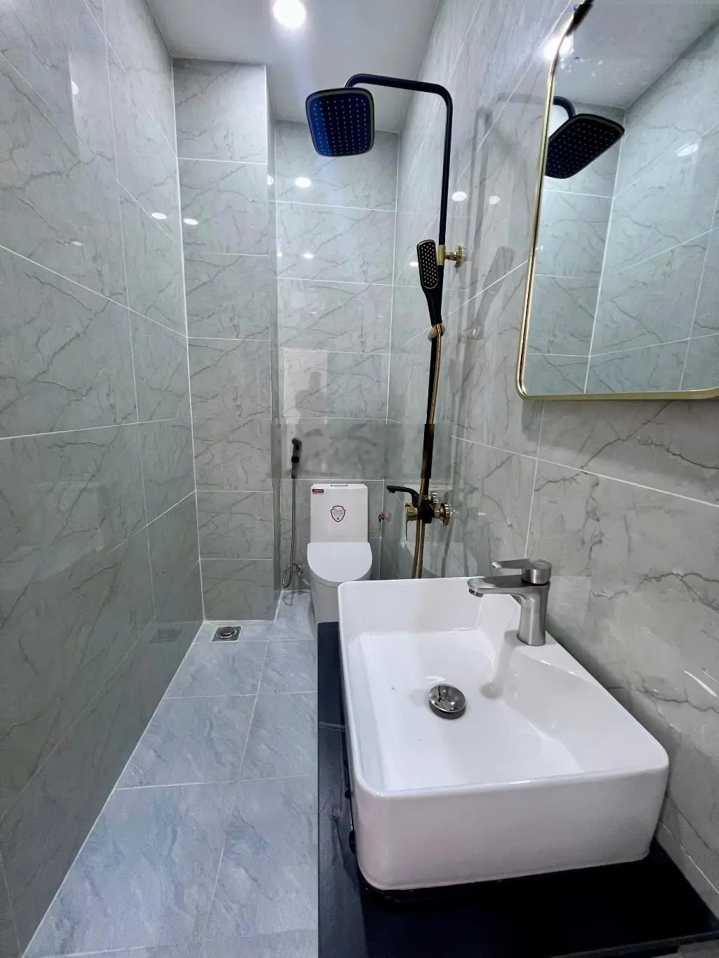 Bán nhà riêng tại Đường Lò Lu, Trường Thạnh, Quận 9, TP. HCM giá siêu hời 5,6 tỷ, 61m2 mới 100%