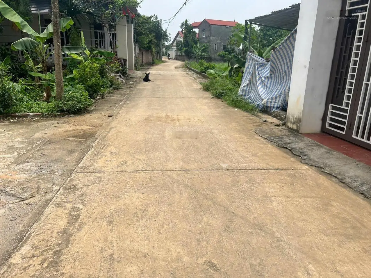 Cơ hội đầu tư hấp dẫn cho những ai đang tìm kiếm một vị trí lý tưởng để phát triển đầu tư tăng giá