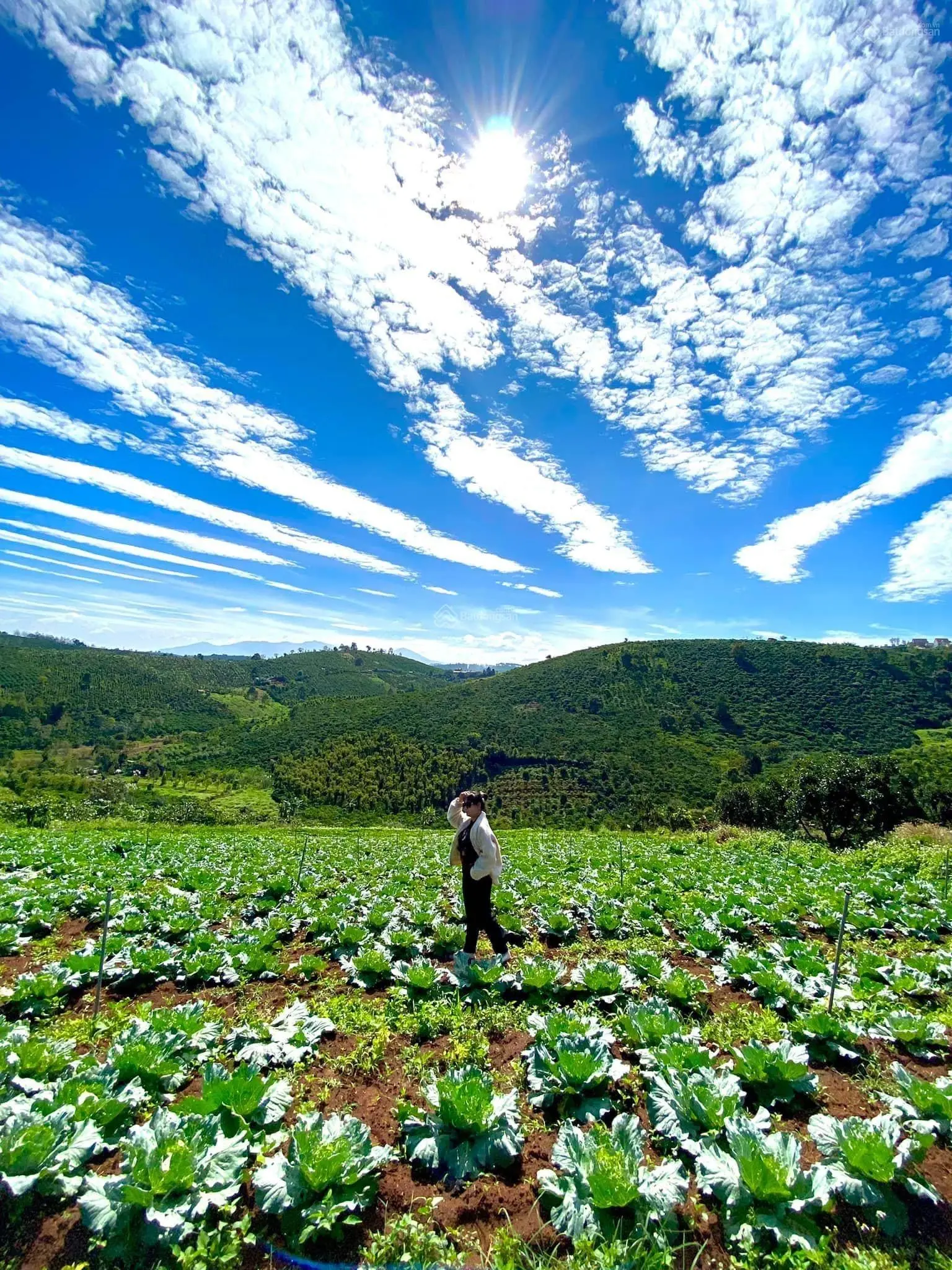 Đất đầu tư nghỉ dưỡng, phân lô view hồ, giáp hồ tại Tân Thượng Di Linh giá chỉ 3 tỷ với DT 4144m2