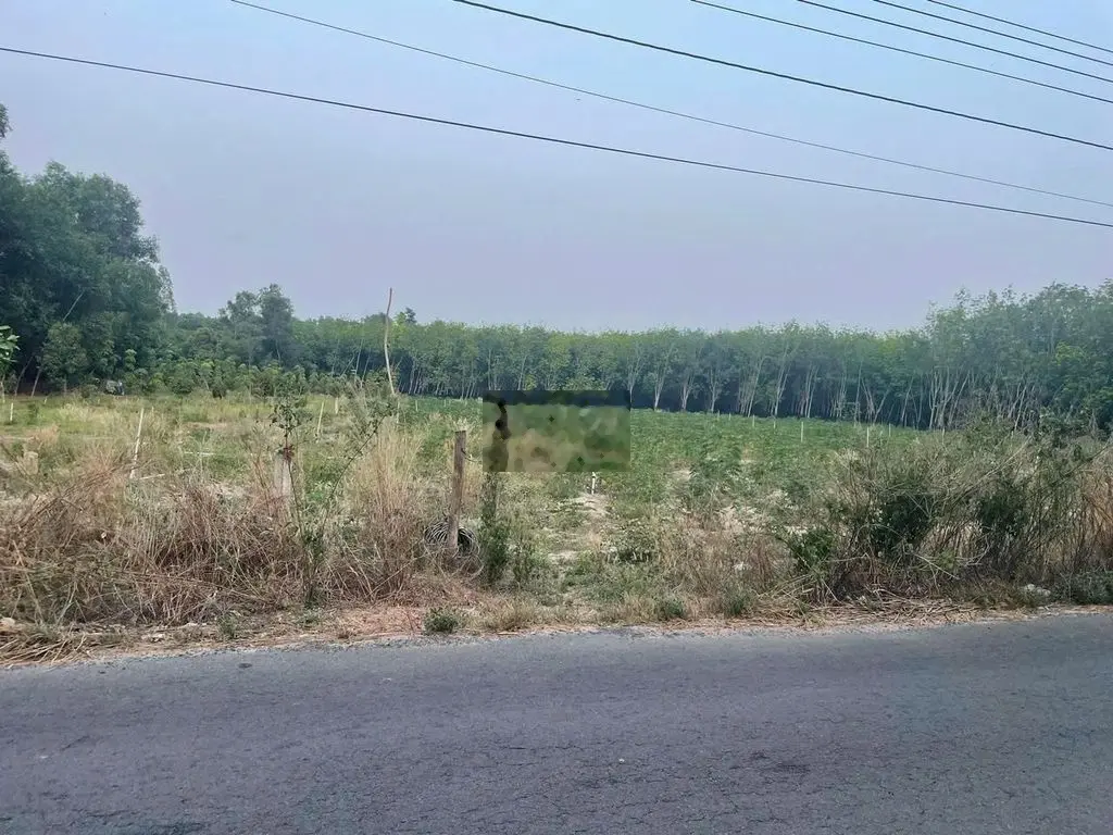 600m2 tt dầu tiếng, đường nhựa ,sổ hồng, ngân hàng hỗ trợ