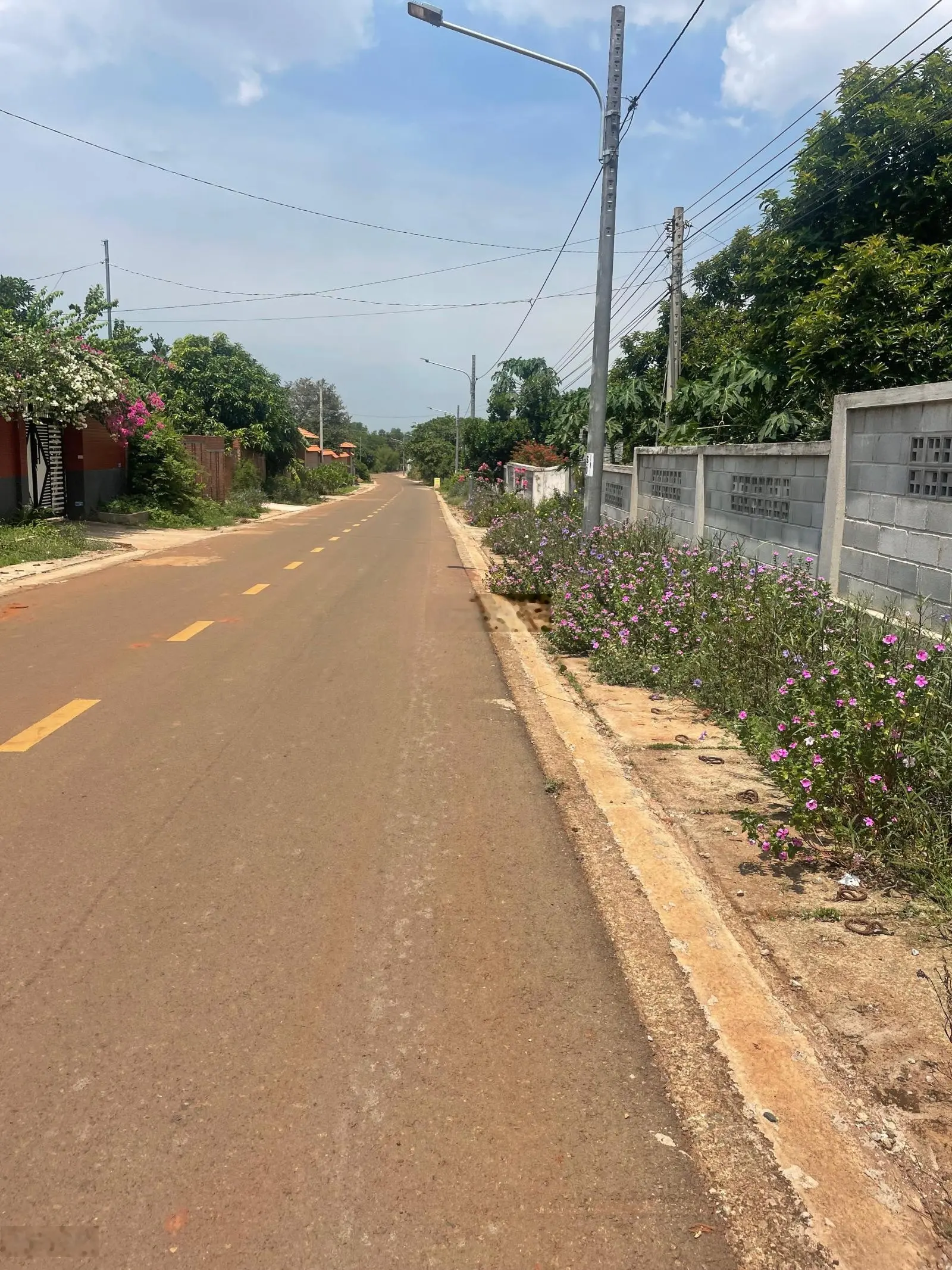 Đất sau trường tiểu học Long Tân, đường nhựa tim vàng, 6x25m TC 80m2