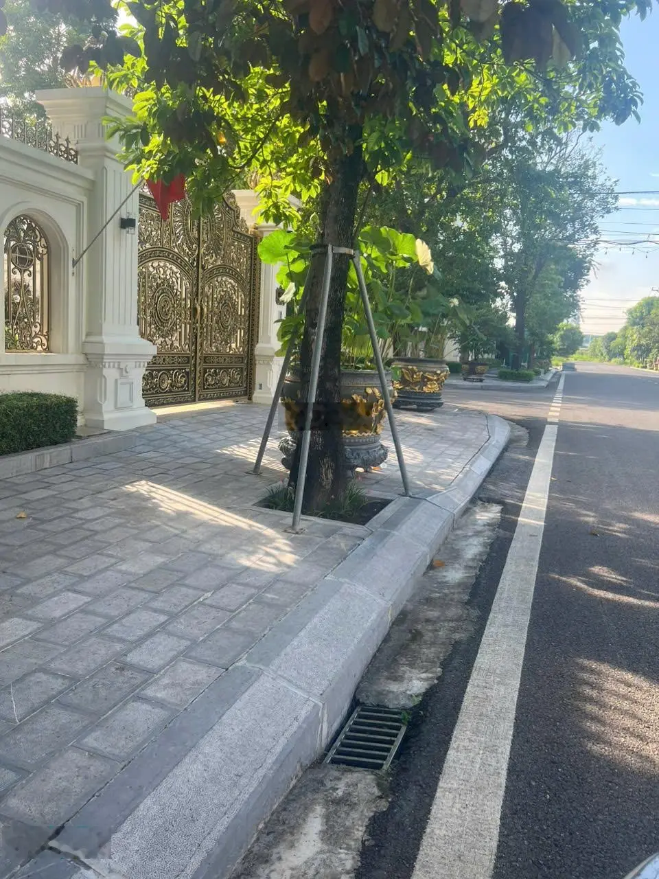 Bán đất quảng trường trung tâm hướng Nam gần nút giao Trịnh Tú - Phạm Hùng phường Ninh Khánh