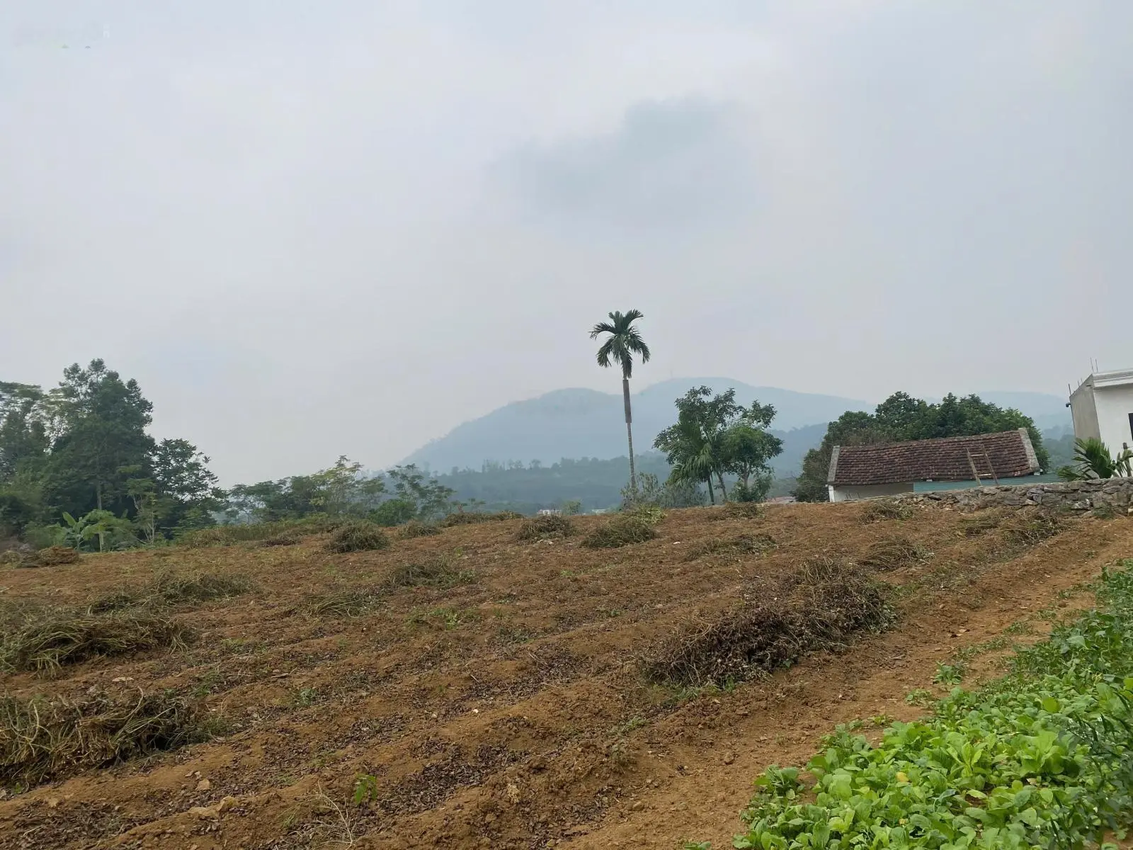 Đất nền 1037m2 tọa lạc tại Thị trấn Lương Sơn, Lương Sơn, Hòa Bình