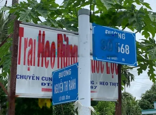 Bán đất Củ Chi, lô đất vườn góc 2 mặt tiền đường xe oto, 3.559m2, xã Trung Lập Hạ