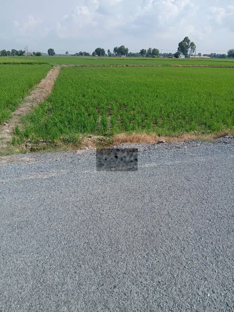 Bán đất thổ cư giá 2,5 tỷ, diện tích 2,766 tỷ, tại Phước Lưu, huyện Trảng Bàng, Tây Ninh