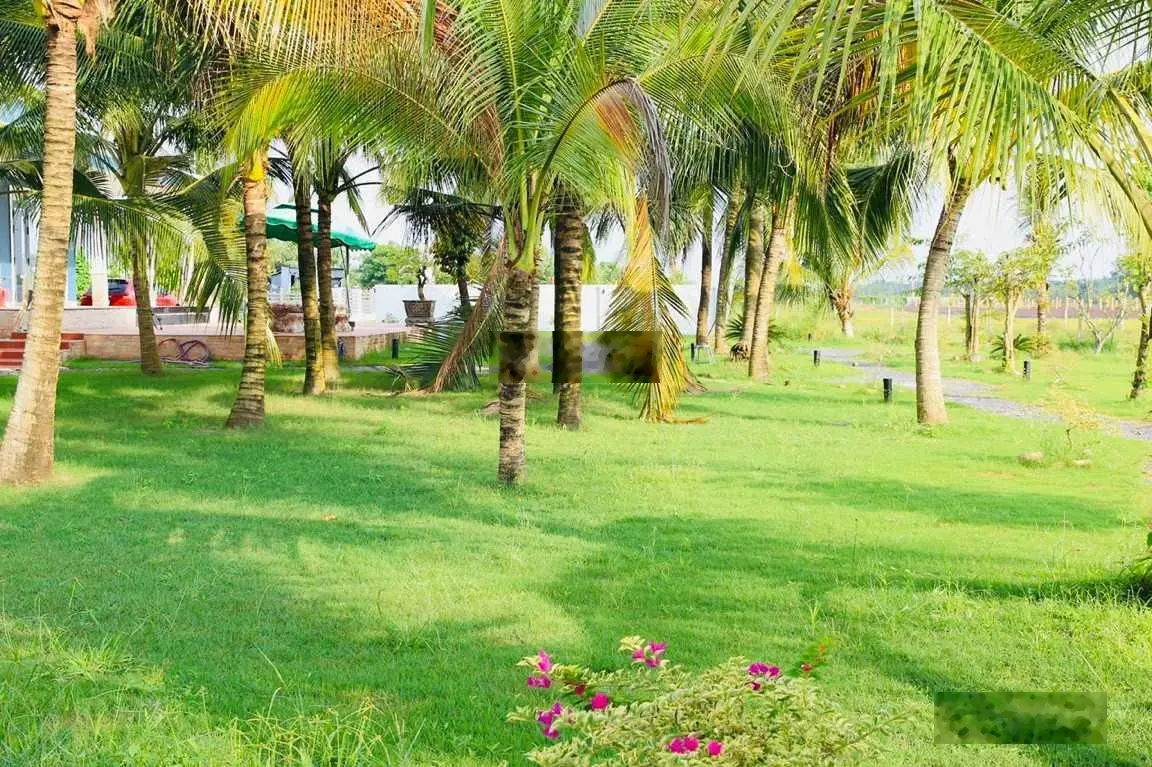 Nhà Vườn Nghỉ Dưỡng 6.000m2 gần UBND Trung Lập Hạ chỉ 1,85tr/m2