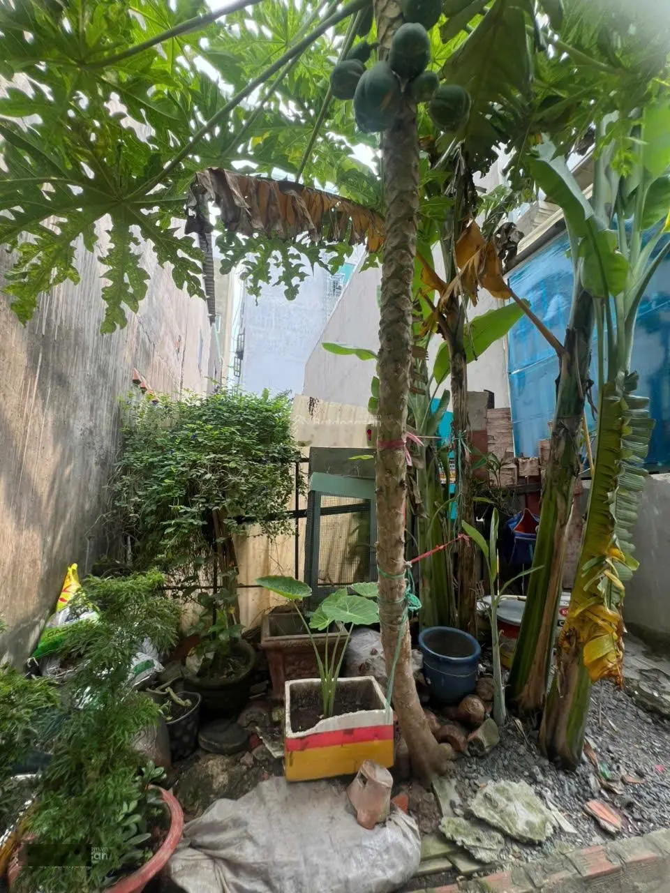 Tỉnh Lộ 10, Tân Tạo A, BÌnh Tân , 80m2 đất Thổ Cư, hẻm 3 gác, ngân hàng phát mãi , 2 tỷ 680,