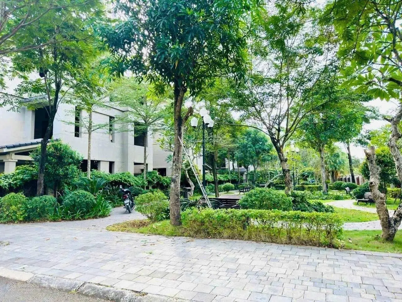 Giá đầu tư biệt thự siêu đẹp Sunny Garden City Ceo Sài Sơn