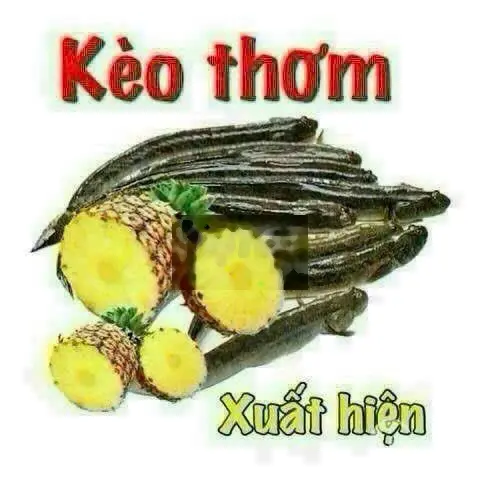 Nhà phố mới đẹp mặt tiền đường Dương Cát Lợi, 5*25 chỉ ~ 8 tỷ.