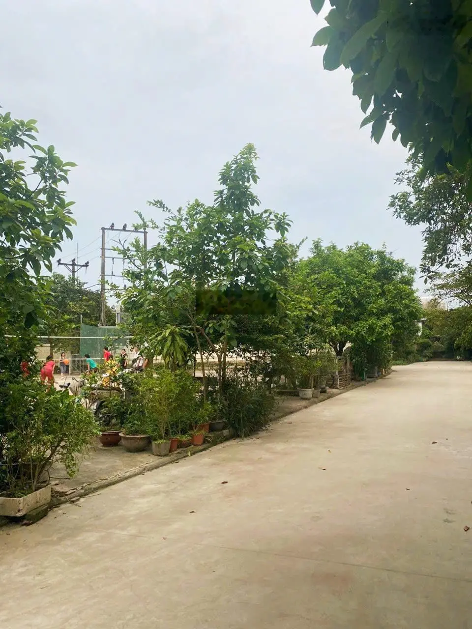 HOT HOT BÁN GẤP CĂN NHÀ 3 TẦNG Đẹp tại Phường Đông Thọ, TP Thanh Hóa, Tỉnh Thanh Hóa
