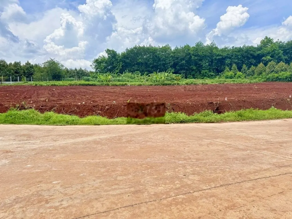 Cần Tiền Kinh Doanh Bán Nhanh 2680m2, Hơn 93m Mặt Tiền chỉ 395tr