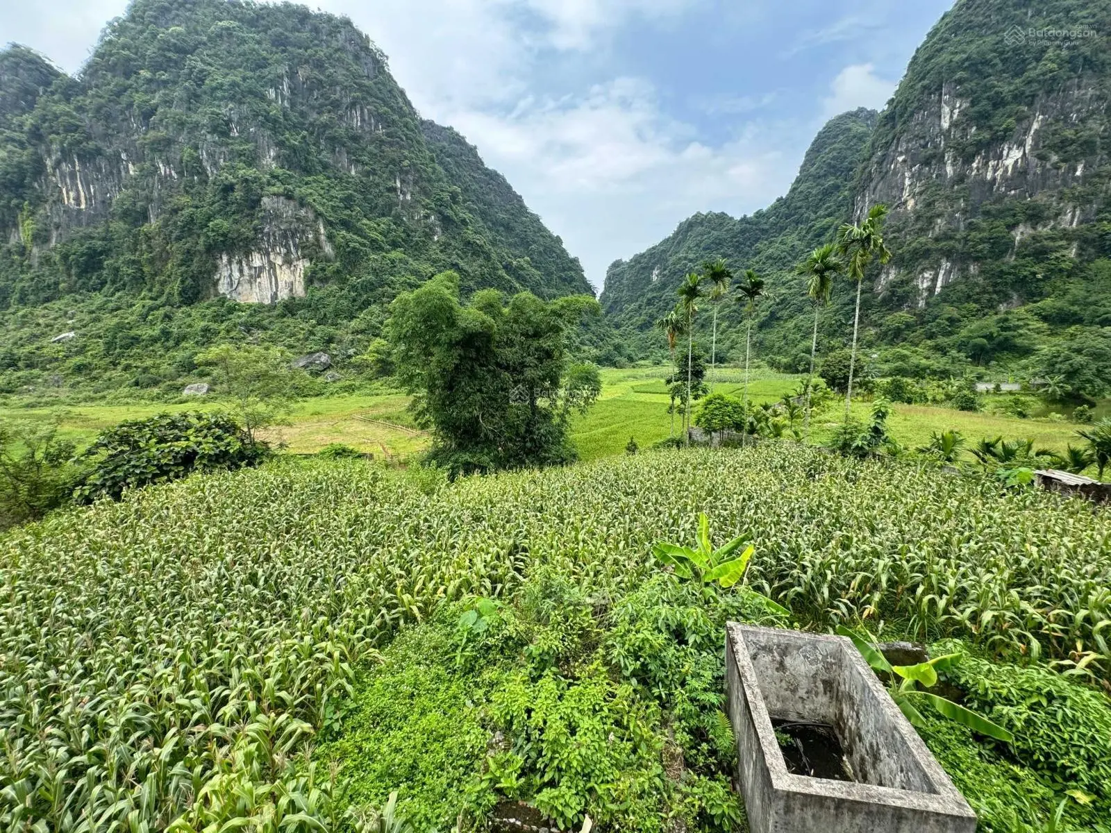 Bán đất tại thôn Yên Lịch, Xã Thanh Sơn, Huyện Lương Sơn, Hoà Bình, diện tích: 3124m2: Có 2000m ONT