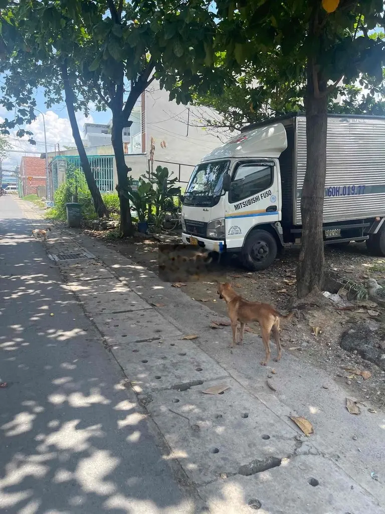 Đất ngay trạm thu phí Lái Thiêu . đường xe tải 10 x 30m