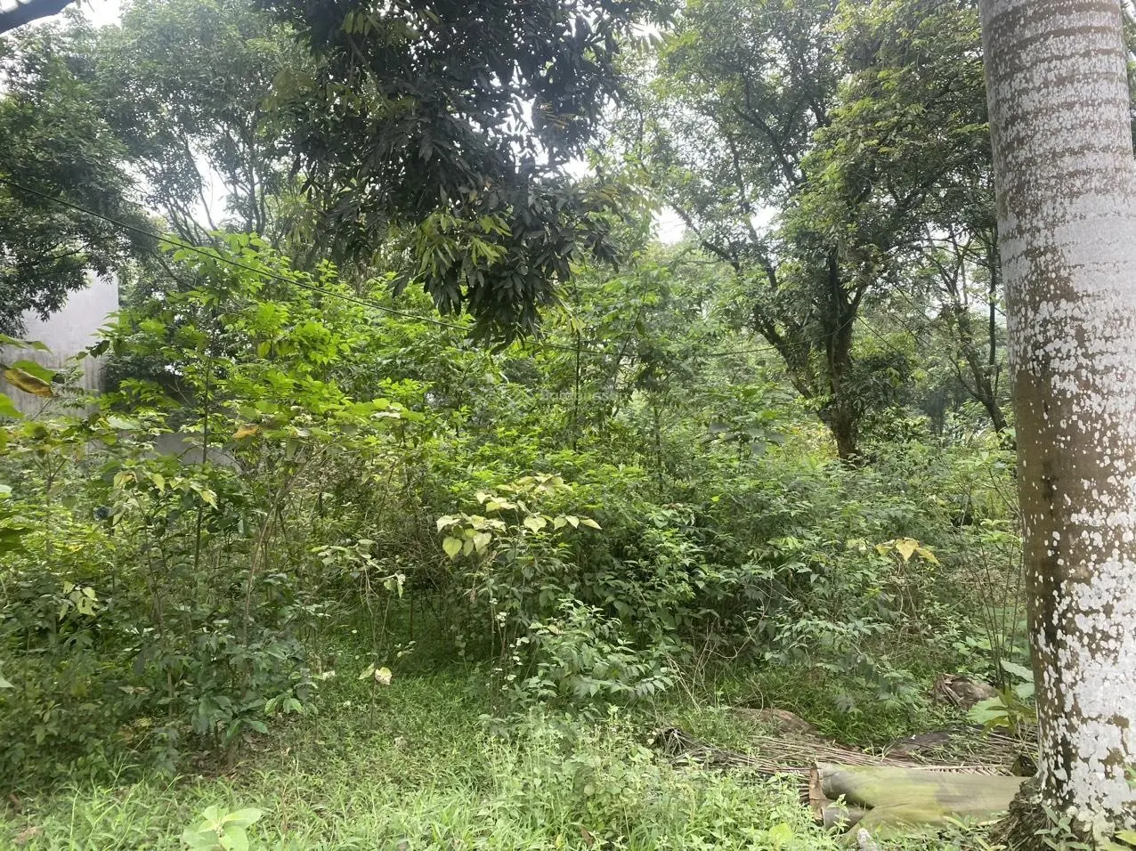 Cần bán 20.000m2 đất thuộc Phú Mãn , Quốc Oai! làm thiền viện, homestay..lh: 0902 298 ***