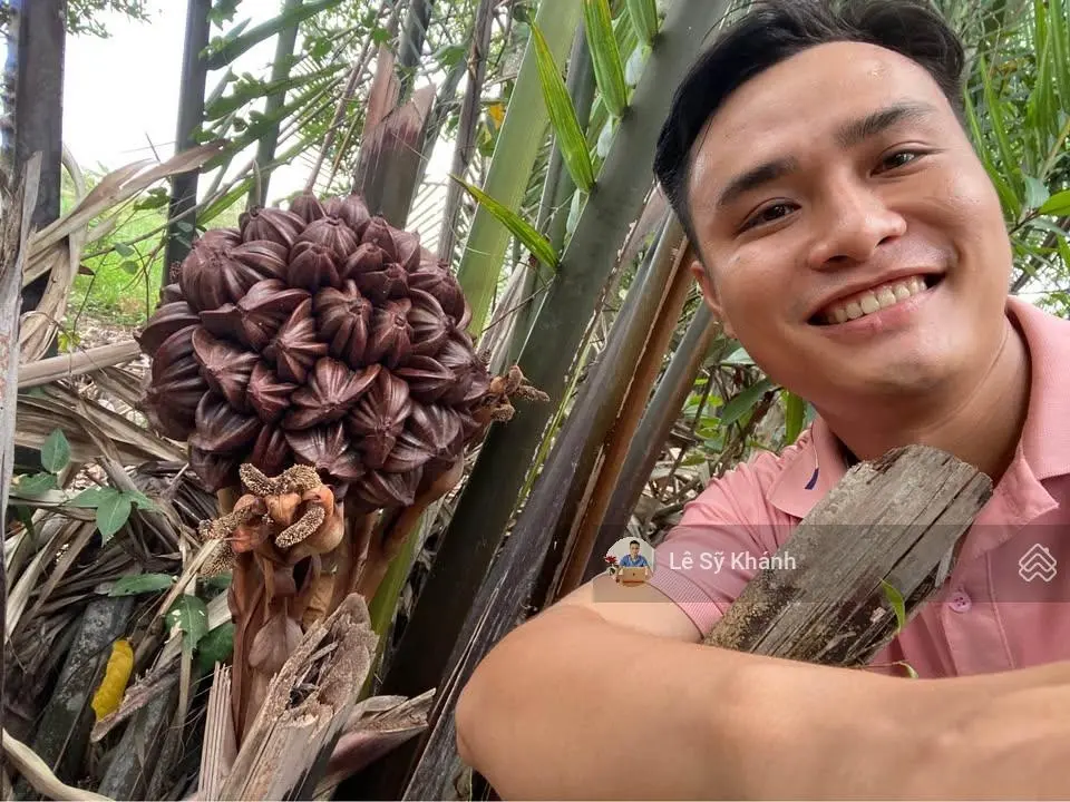 Dãy trọ 11phòng ngay phạm văn đồng đường rộng 10m xe tải,lh 0915479678