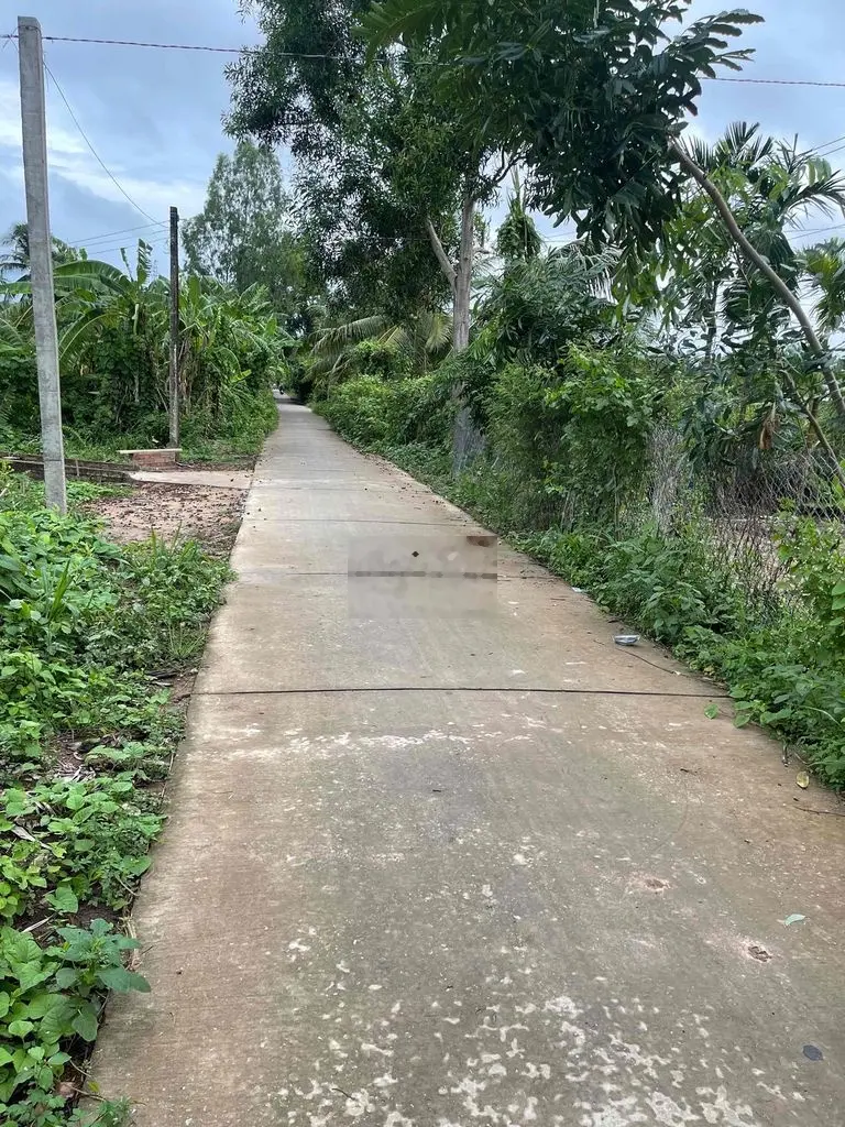 bán đất