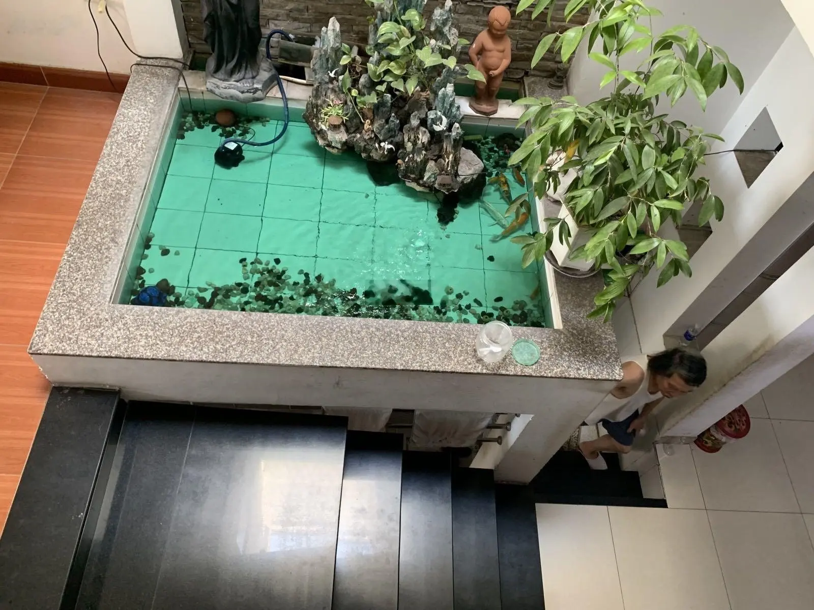 Bán nhà hẻm xe hơi thông - Lưu Chí Hiếu - Tây Thạnh - Tân Phú - 60m2 - 5 tầng - 8 tỷ 2 thương lượng