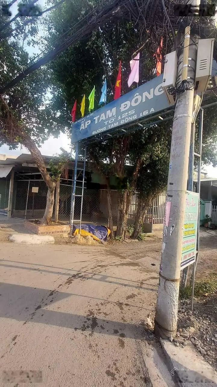 Chủ cần bán gấp lô đất SHR 1/ Nguyễn Thị Thảnh, Thới Tam Thôn, Hóc Môn, sát vách Hiệp Thành, Q12