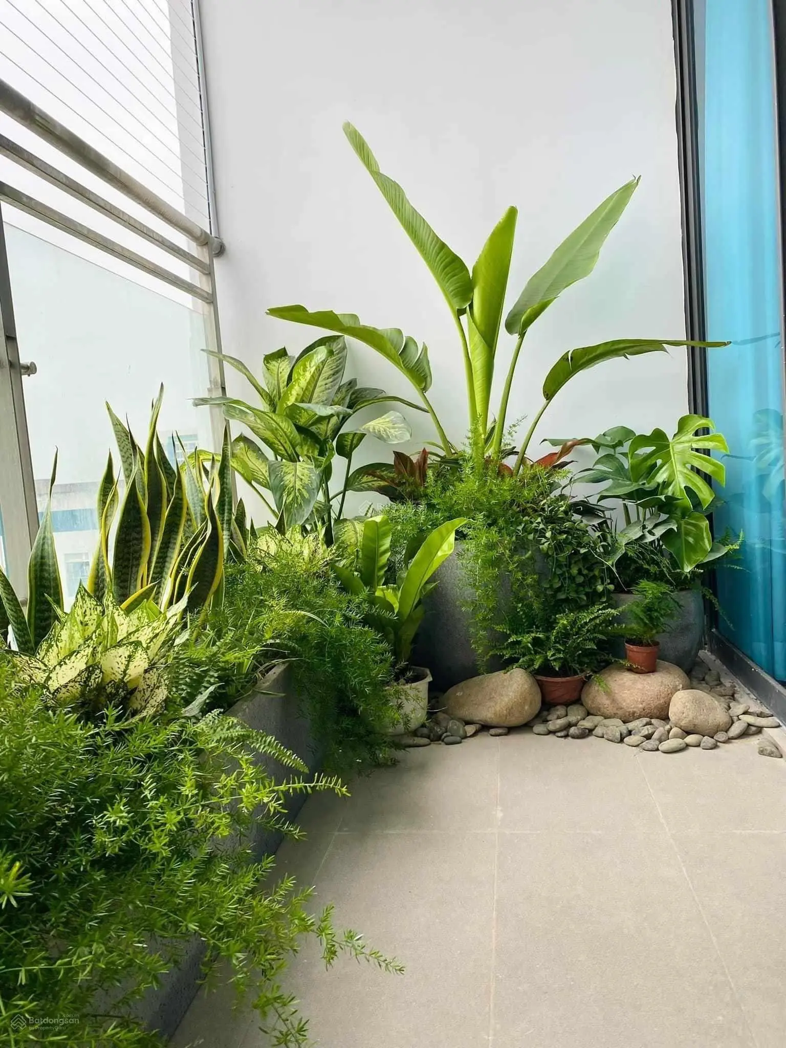 Cần tiền bán gấp căn Vinaconex 2 - Kim Văn Kim Lũ, S = 107m2, 3PN, 2WC, giá 5.56 tỷ. LH: 0985 232 ***