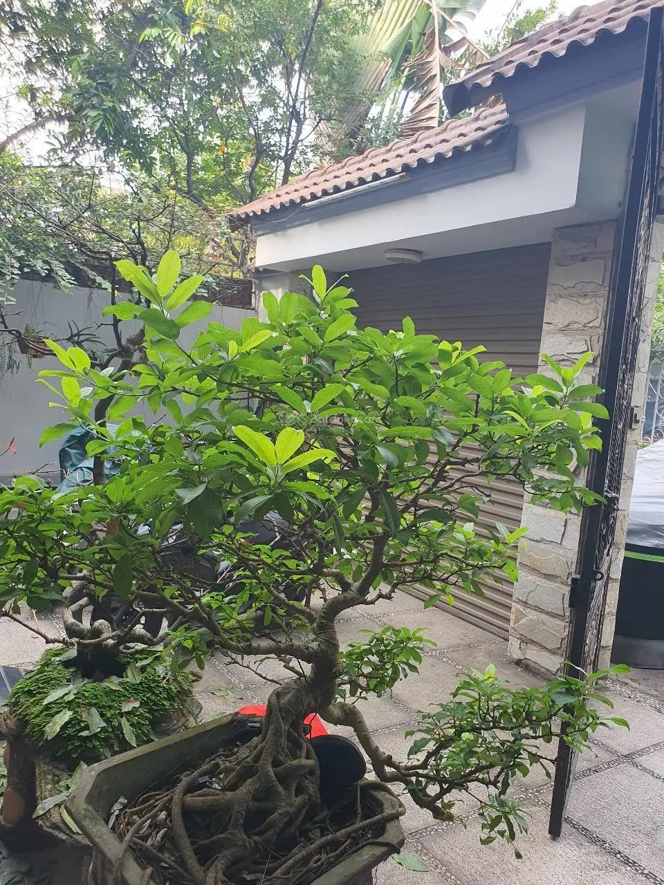 Cần bán gấp! biệt thự 3 tầng 280m2(10x28m), 24tỷ TL, khu ven sông sg đường số 25, gần TTTM Gigamall