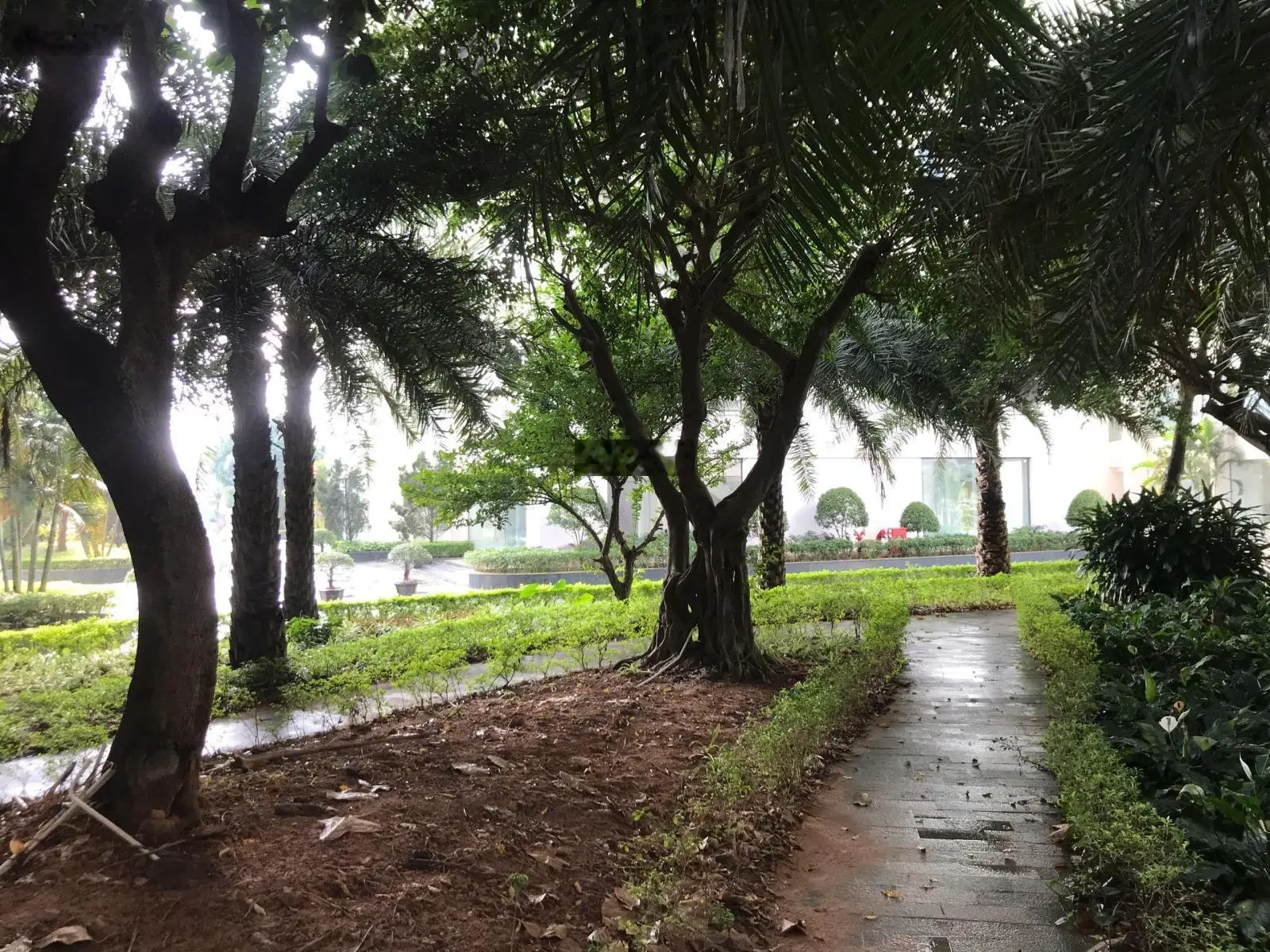 Nhà ở tạo dòng tiền (cash home) vừa tạo dòng tiền đều đặn vừa tăng giá trị theo thời gian
