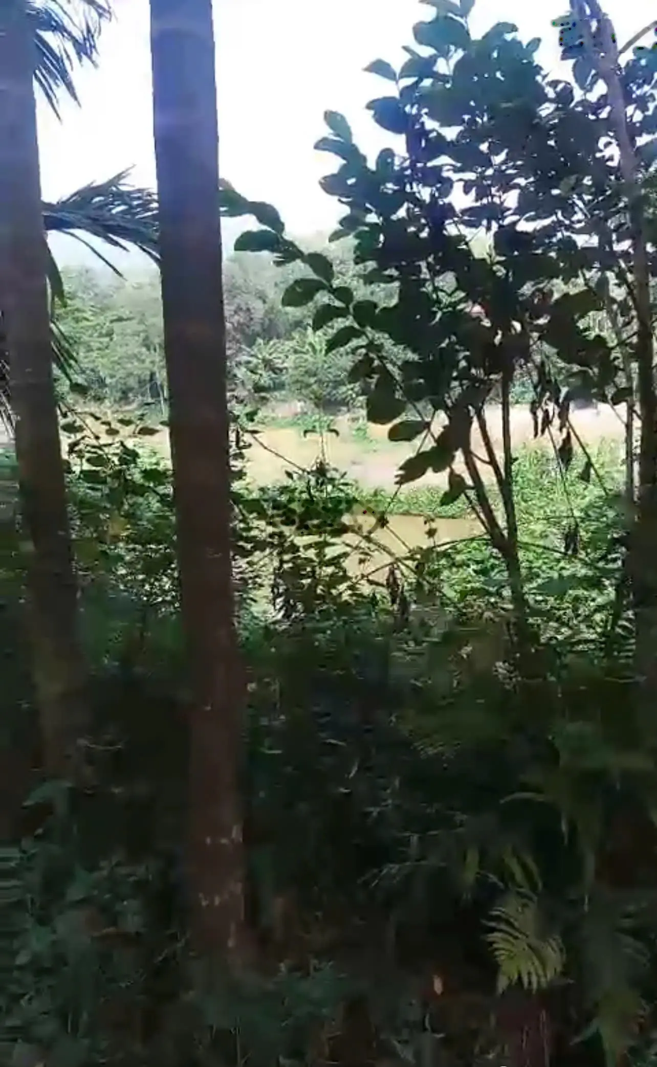 Bán đất Yên Mông, Hoà Bình view cánh đồng cao thoáng giá đầu tư