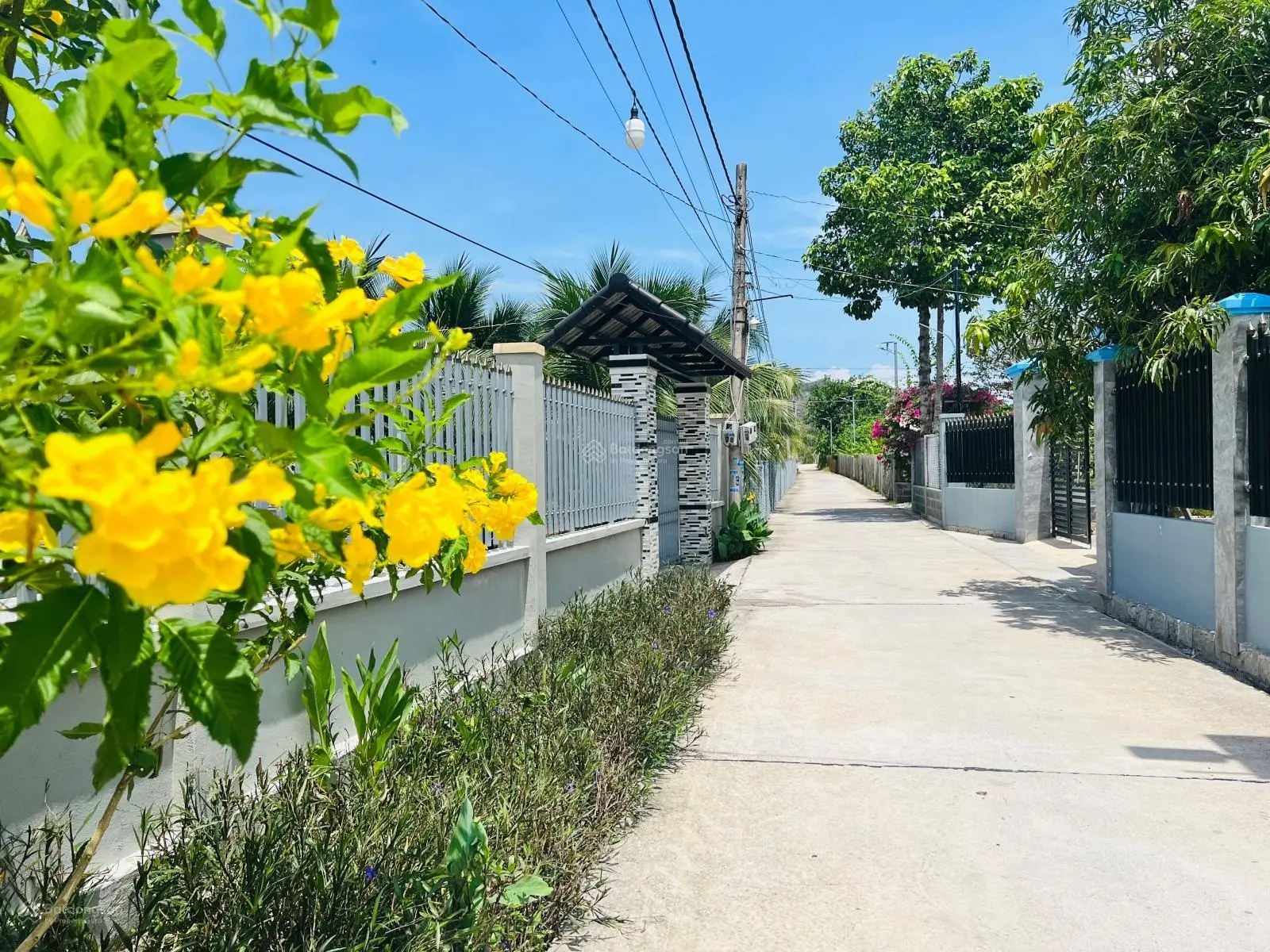 539m2 Long Mỹ - Đất Đỏ - BRVT giá siêu mềm chỉ hơn 2,9tr/m2 làm vườn siêu đẹp