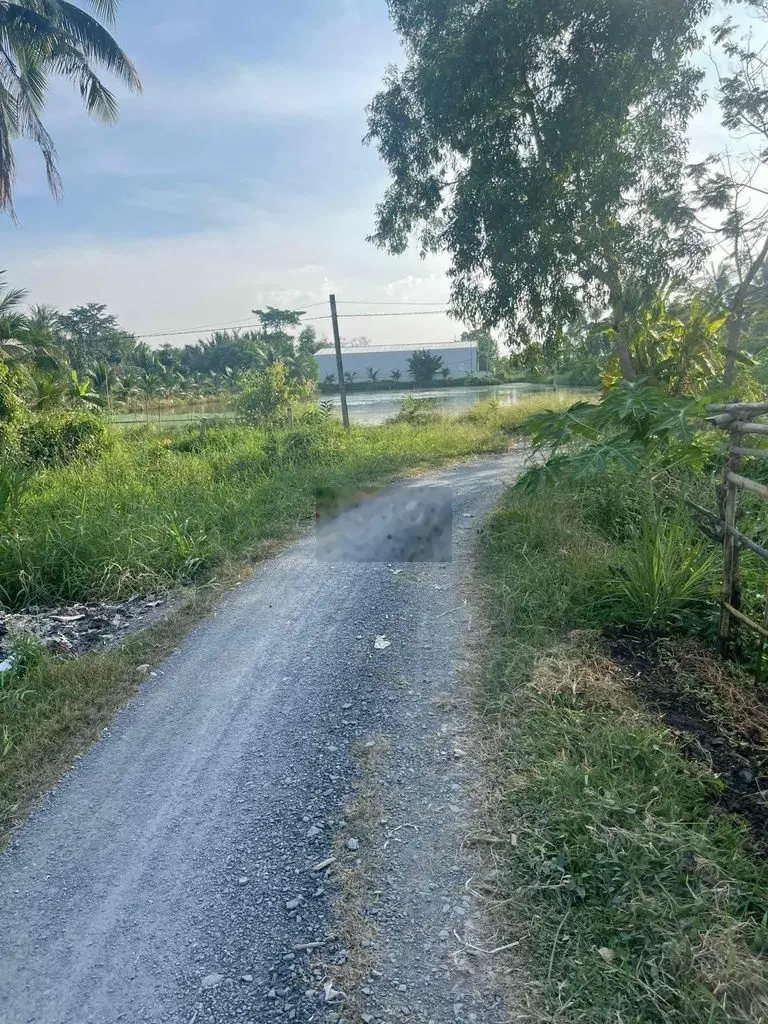 Bán đất mặt tiền đường xe tải cách cao tốc đúng 3km, đất lúa khu vực được chuyển thổ phân được 6 lô, diện tích lớn 1357m2, giá 1,5 tỷ