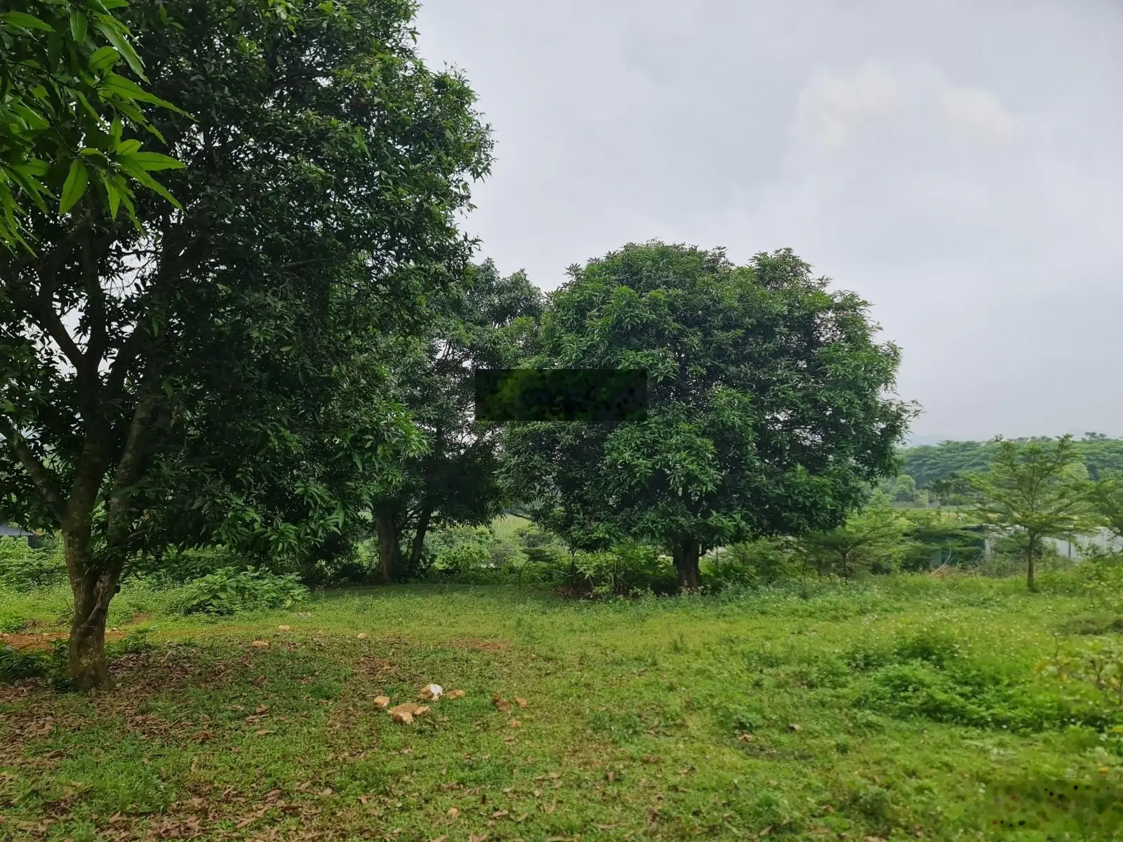 Bán đất nghỉ dưỡng 2502m2 2 mặt đường nhựa sát homestay resort đất ONT view thung lũng 7,9 tỷ
