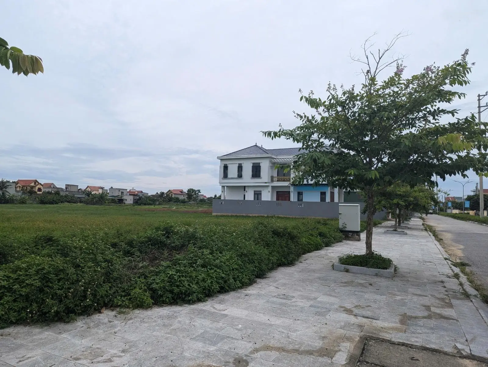 Đất nhà không làm sản xuất nữa cần bán cho ai có nhu cầu