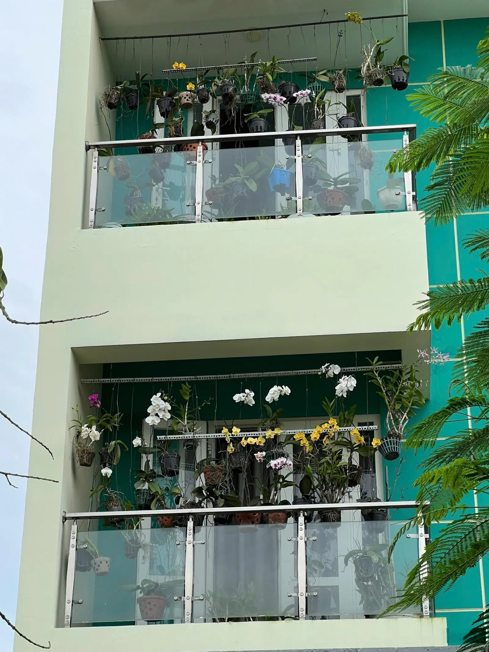 Tôi chính chủ bán căn nhà sổ hồng hoàn công đầy đủ Khu dân cư Phú Xuân- Vạn Hưng Phú- Nhà Bè- TPHCM