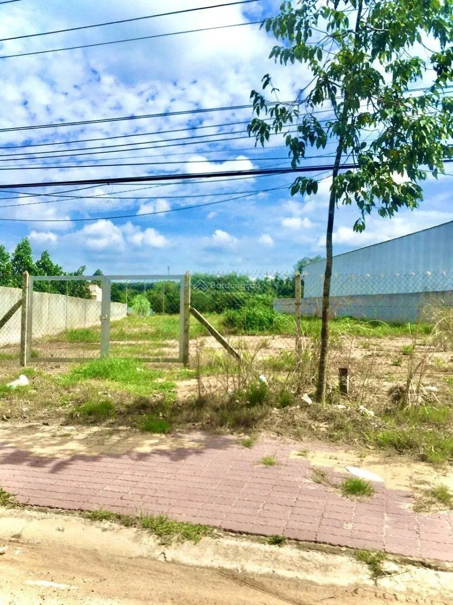 Cần Vốn Bán Gấp 505M2 SHR Cạnh Chợ Trường MT 18M Dân Đông. Gía 320tr Gần Trung tâm Văn hóa Huyện DT